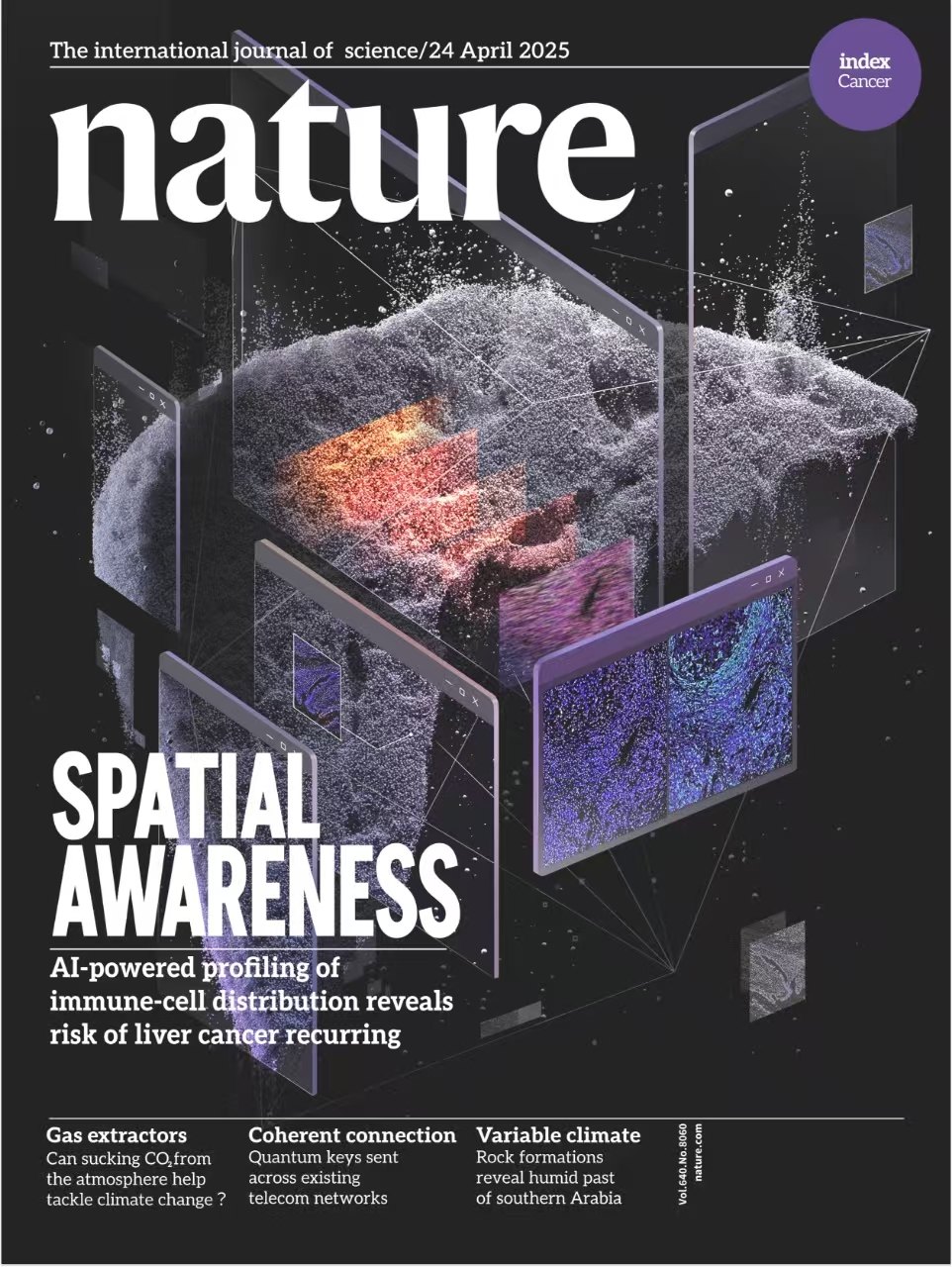 Nature 2025 cover featuring the TIMES spatial immune-scoring platform