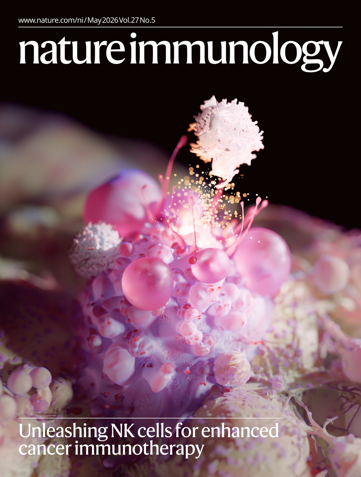 Nature Immunology 2026 cover — Targeting CLEC12B unleashes NK cells for enhanced cancer immunotherapy